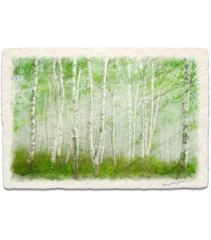 Amazon.co.jp: 若井良一 「 奥入瀬渓流 」 油絵 ・ 油彩 F6 (6号) 奥入